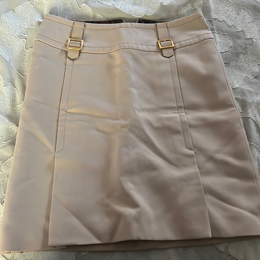 D&G skirt